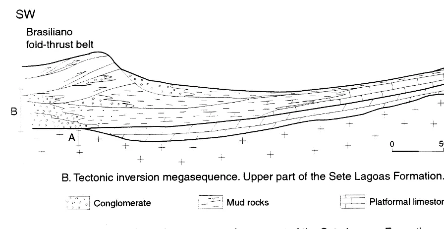 Fig. 3. Geological cross section of southwestern border of the Bambuı´ foreland basin during the tectonic inversion (after Castro,1997).