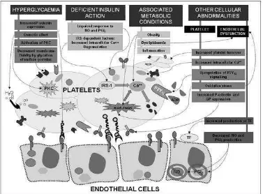 Gambar2.2.Patogenesis Kelainan Trombosit pada DM 