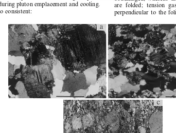Fig. 7. Microstructures in the Arco Verde Tonalites: (a) magmatic assemblage with subhedral slighly zoned plagioclase andinterstitial quartz; (b) subsolidus high-T microstructures with recrystallized feldspars and quartz; (c) microstructures in a medium-to low-T shear zone in the tonalites (the ﬁne-grained matrix consists of quartz, plagioclase, biotite and muscovite).