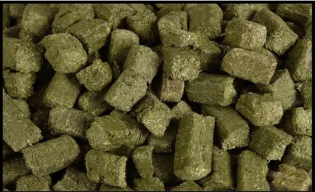 Gambar 5. Pellet yang terbuat dari rumput 