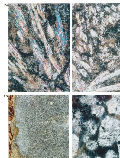 Fig. 3. Maﬁcultramaﬁc rocks in the Sibao Group. (A and B) Spinifex-textured komatiitic basalt from the Hejia Flow, showinga sill near Jiepai with rounded olivine included in clinopyroxene, ﬁeld of view 2.87pyroxene cumulate from the Zhongkui Flow, showing 