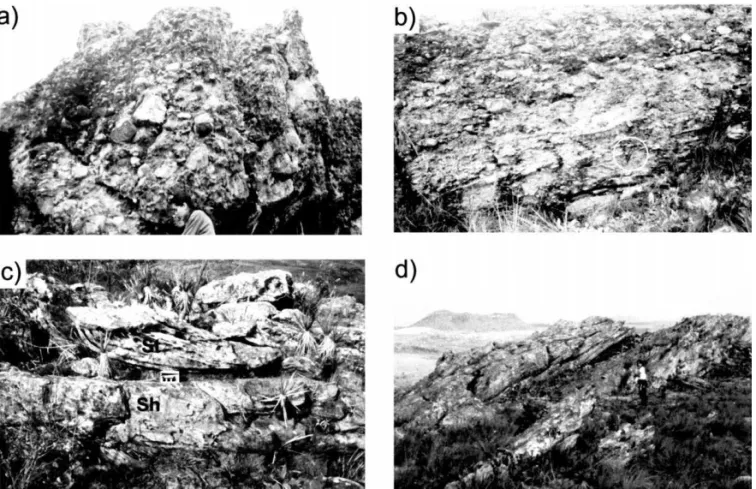 Fig. 8. Photographs showing deposits of the synrift 1 Natureza tectonosequence, (a) Debris-flow conglomerates