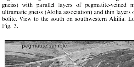 Fig. 5. Heterogeneous tonalitic and dioritic gneiss (Amıˆtsoqgneiss) with parallel layers of pegmatite-veined maﬁc andultramaﬁc gneiss (Akilia association) and thin layers of amphi-bolite