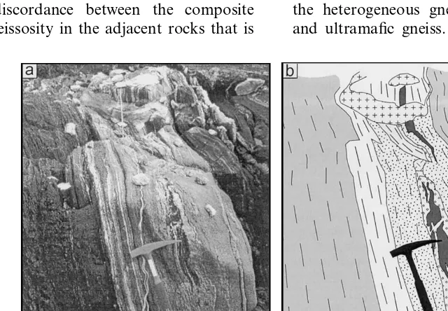 Fig. 11. (a) View to the south showing part of the mapped outcrop presented in Fig. 9, including the vertical face (behind thehammer) located by the thick line on Fig