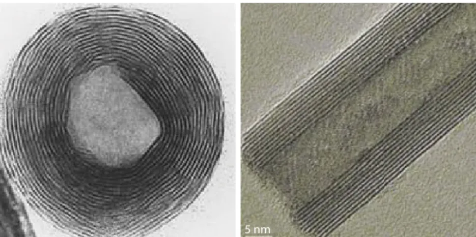 Figure 1.2  TEM images of a multiwall carbon nanotube from two different  angles showing lumen in the center surrounded by many walls.