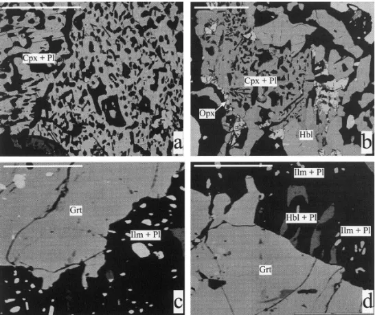 Fig. 8. Back-scattered electron images showing representative metamorphic reaction textures of high-pressure granulites