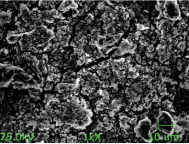 Fig. 10 Scanning electron micrograph of a typical foil at 1000  magni ﬁ cation