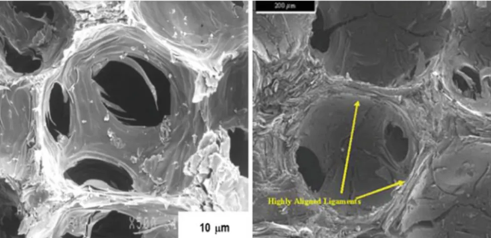 Fig. 21 Carbon foams produced by the conventional “ blowing ” process (left) and mesophase pitch-based carbon foam (right) [67]