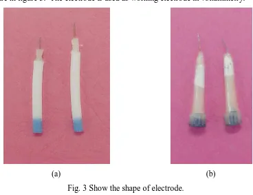 Fig. 3 Show the shape of electrode. 