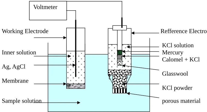 Figure 4: Schematic of potential cell measurement