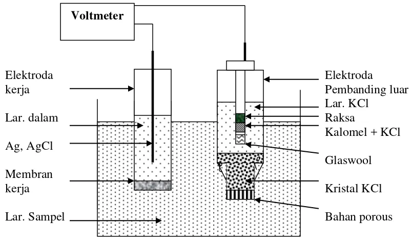 Gambar 2.2. Skema alat analisis secara potensiometri 