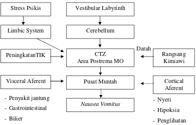 Gambar 1.    Skema Patofisiologi mual muntah 