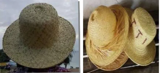 Figure 3. The forms of the hat