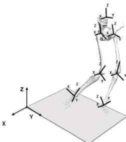 Figure 1. Laboratory and segment coordinate systems. Segmental coordinate   systems are located at the proximal end of each segment