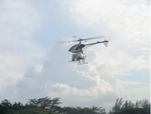 Fig. 1.2 SheLion (a twin of HeLion) in action