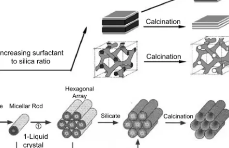 Figure 2. The mechanism for formation of mesoporous silica nanomaterials with different  structures (Kresge and Roth 2013)