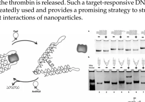 Figure 8. Regulation of biomolecules by DNA nanomachines. (a) Reversible regulation of  target binding affi nity