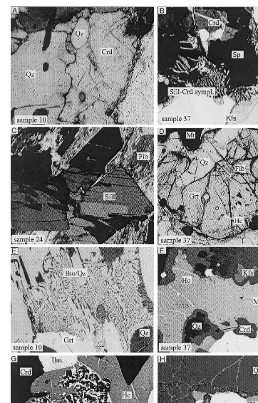 Fig. 3. Microtextures in the samples of this study: A–D are photomicrographs; E–H are back-scattered electron images