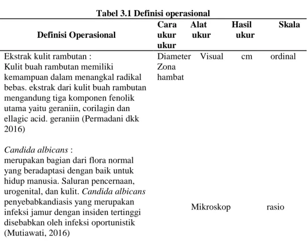 Tabel 3.1 Definisi operasional  Definisi Operasional 