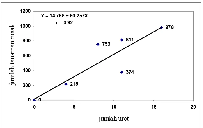 Gambar 8. Korelasi antara jumlah uret dan jumlah tanaman rusak pada    lahan 2 