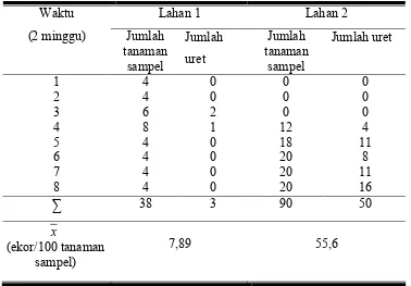 Tabel 1. Jumlah uret pada lahan stroberi 1 dan 2 