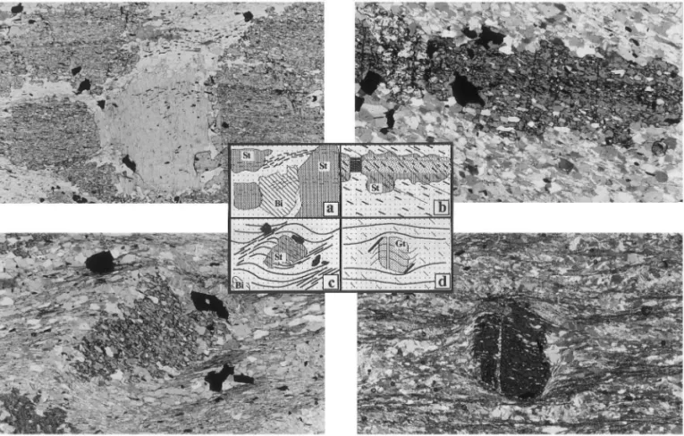 Fig. 11. Photomicrographs of aureole porphyroblasts from the Quadrila´tero Ferrı´fero