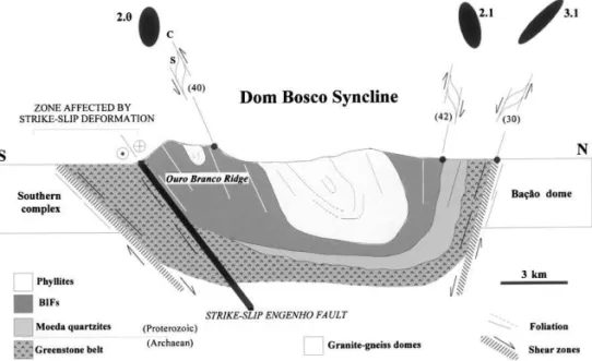 Fig. 4. S – C fabrics and XZ finite strain ellipses across the normal Dom Bosco syncline (see Fig