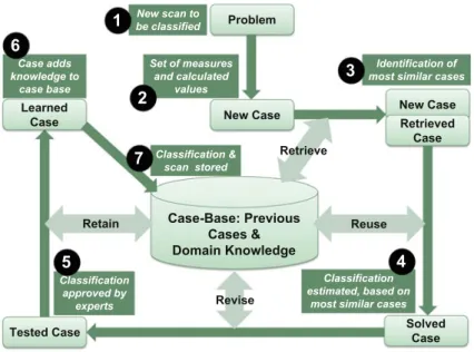 Fig. 2 The CBR-cycle for morphological classi ﬁ cation, adapted from Aamodt and Plaza (1994)
