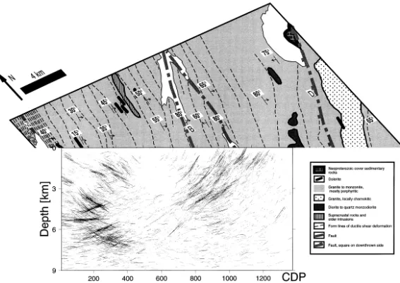 Fig. 8. Migrated line drawing (Fig. 7) merged with surface geology (Fig. 2).