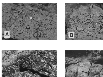 Fig. 7. Haggis Point (A) primitive proto-debris ﬂow unit with granule and small cobble matrix