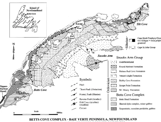 Fig. 1. Location of Betts Cove Ophiolite and associated cover rocks. Baie Verte Peninsula is shown in inset map