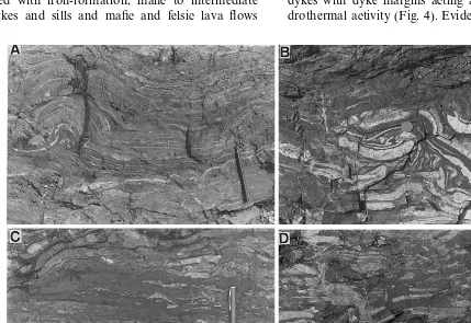 Fig. 5. Photographs of typical BIF. (A) Jaspilite iron-formation preserved in rip-up (Fig