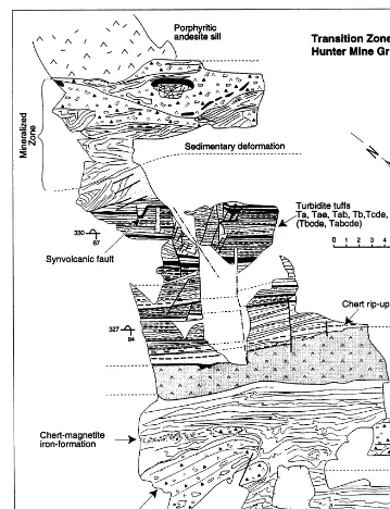 Fig. 6. Outcrop map of a stratigraphic section in the transition zone of the Hunter Mine group, showing the normal stratigraphicrelation of oxide facies iron-formation intercalated with graded volcanic tuffs (after Mueller et al., 1997).