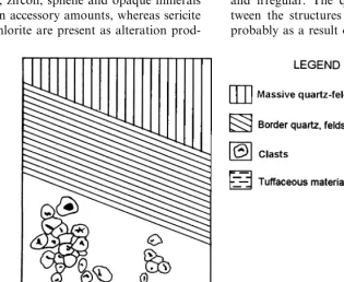 Fig. 9. Schematic proﬁle depicting the contact between the Kameeldoorns Formation and the lower parat of the MakwassieFormation at T’Kuip Hills.