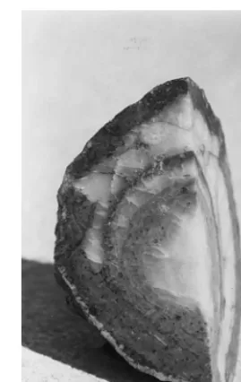 Fig. 15. Another example similar to Fig. 14 but with a thickouter cavity ﬁlled by quartz