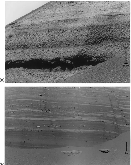 Fig. 9. The Black Point subaqueous mound strata share the low depositional dips of Pahvant Butte deposits, but exposed strata are less well bedded and lack recognizable combined-flow bedding features (cf