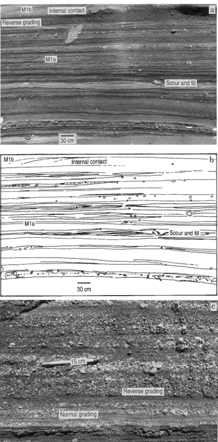 Fig. 5. Bedding characteristics of Pahvant Butte mound strata. Illustrated lithofacies are (a – b) Typical subhorizontal, very subtly lenticular bedding of M1a lithofacies