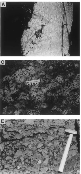 Fig. 4. (A) Lapilli tuff breccia (LTB) facies with beds of lapilli and blocks, and tuff interbeds