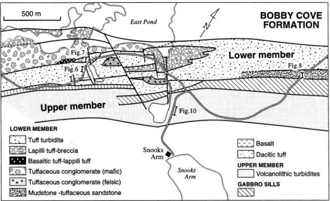 Fig. 5. Geological sketch-map of the central part of the Bobby Cove Formation, showing the geographic extent of the principal members and facies.