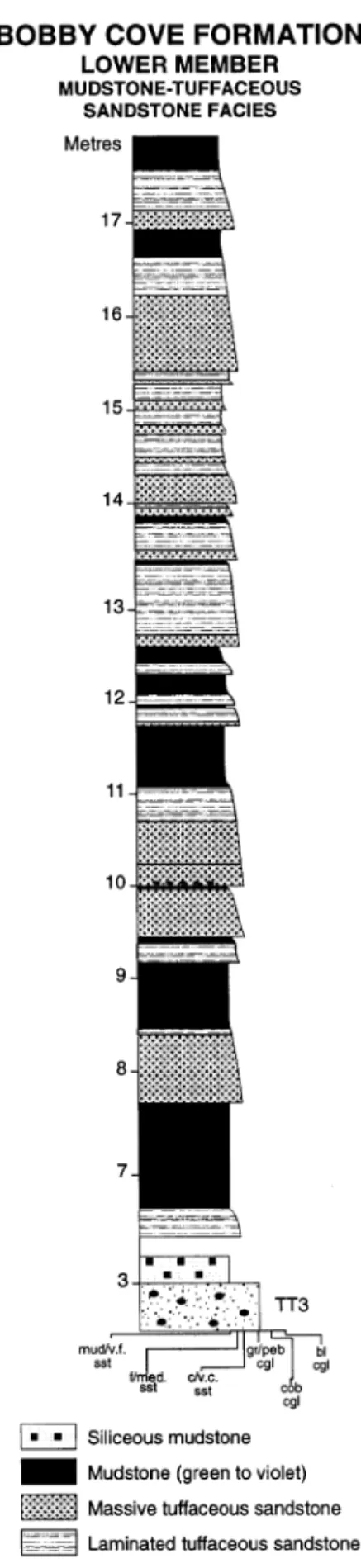 Fig. 8. Stratigraphic column of part of the mudstone — tuffaceous sandstone facies. Transitional character stands out by comparing it with Figs