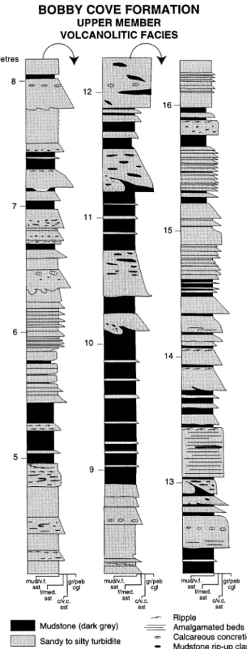 Fig. 10. Stratigraphic column of part of the volcanolithic turbidite facies. Note increased mudstone: sandstone ratio and sedimentary structures typical of classic turbidite successions.