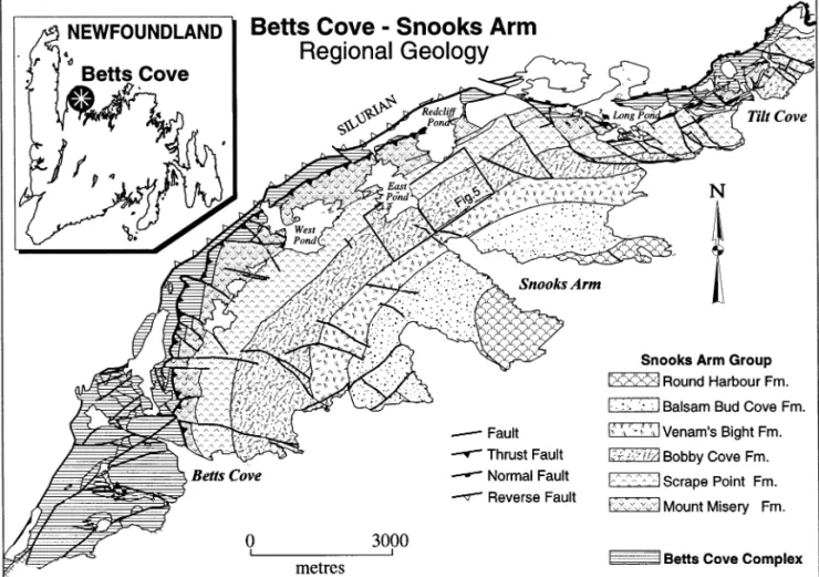 Fig. 1. Geological map of part of the Betts Cove ophiolite and its cover rocks, showing the overall stratigraphy of the Snooks Arm Group
