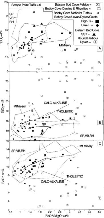 Fig. 2. Variation diagrams illustrating the range of magmatic and sedimentary compositions in the Snooks Arm Group