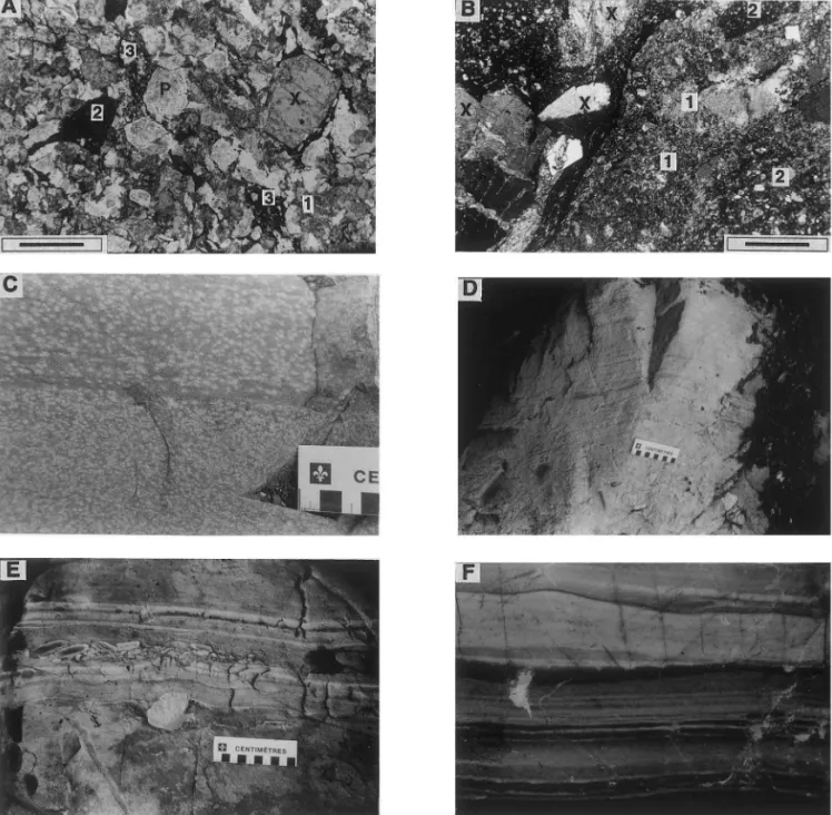 Fig. 3. (A) Photomicrograph of coarse grained tuff turbidite TT1 bed (plane light, bar scale is 1 mm)