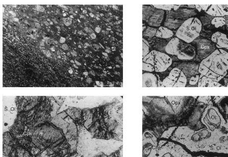 Fig. 2. Sample photographs and photomicrographs showing: A. Rhyolitic dykes cross-cutting tholeiitic basalts, typically withplagioclase (Pl) phenocrysts and corroded quartz (Qz); B