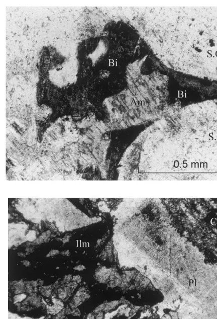 Fig. 2. (Continued)