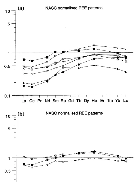 Fig. 6. NASC normalised REE patterns for (a) silica-, alu-mina-poor ironstones (BR8, BR13, BR25, BR35, BR40, BR52,BR53), and (b) siliceous, aluminous ironstones (BR15, BR36),and clastic sediment (BR38)
