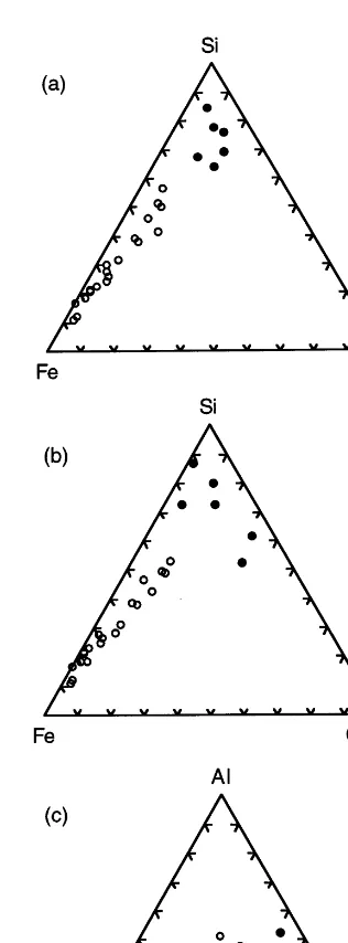 Fig. 5. Ternary plot of (a) Si�and (c) Alclastic sediments (Fe�Al, (b) Si�Fe�(Ca+Mg),�(Ca+Mg) (Na+K) for ironstones (�; N: 20) and�; N: 6).