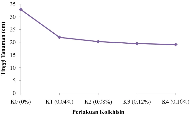 Gambar 1. Grafik perbandingan rataan tinggi tanaman pada masing-masing perlakuan kolkhisin