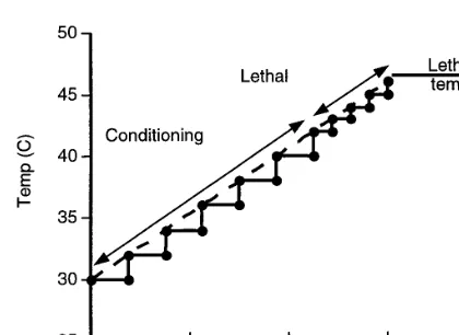 Fig. 2. Ramped heating treatments, where B3, 6 and 9 h intervals. Smooth linear ramps were achieved inthe water bath trials while the step-wise ramp was used in themathematical model to estimate the magnitude of conditioning